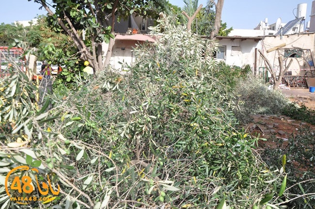 hadm m3awelaj (27).JPG